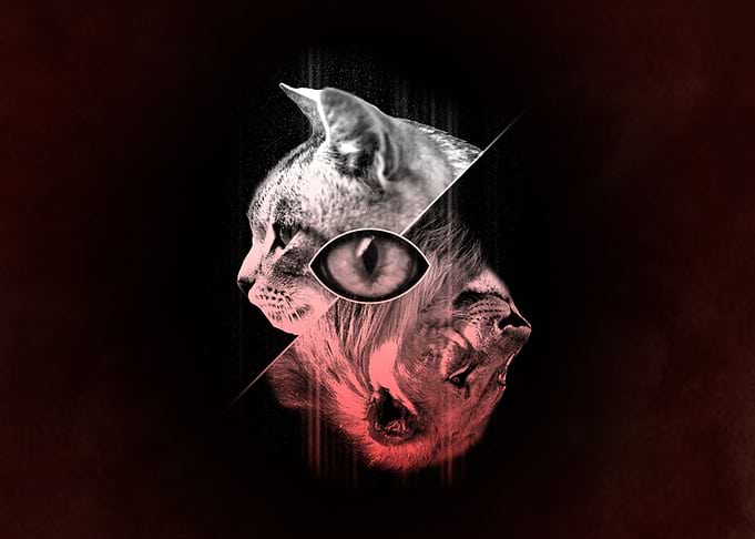 the beast inside me