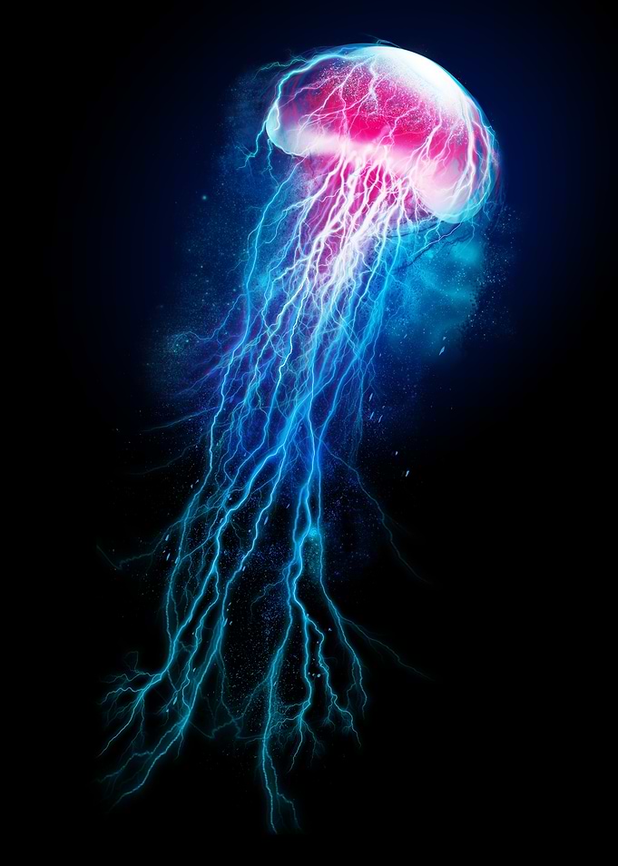 Jellyfish Storm