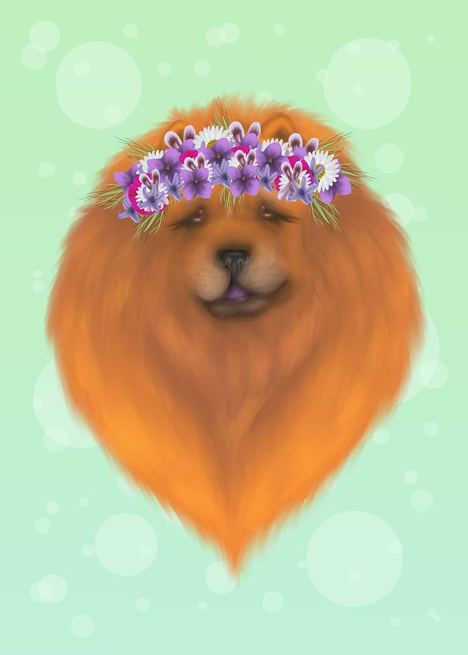 Chow Chow
