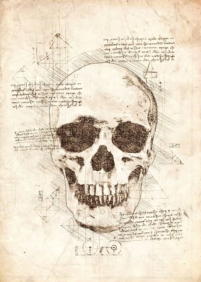 Human Skull
