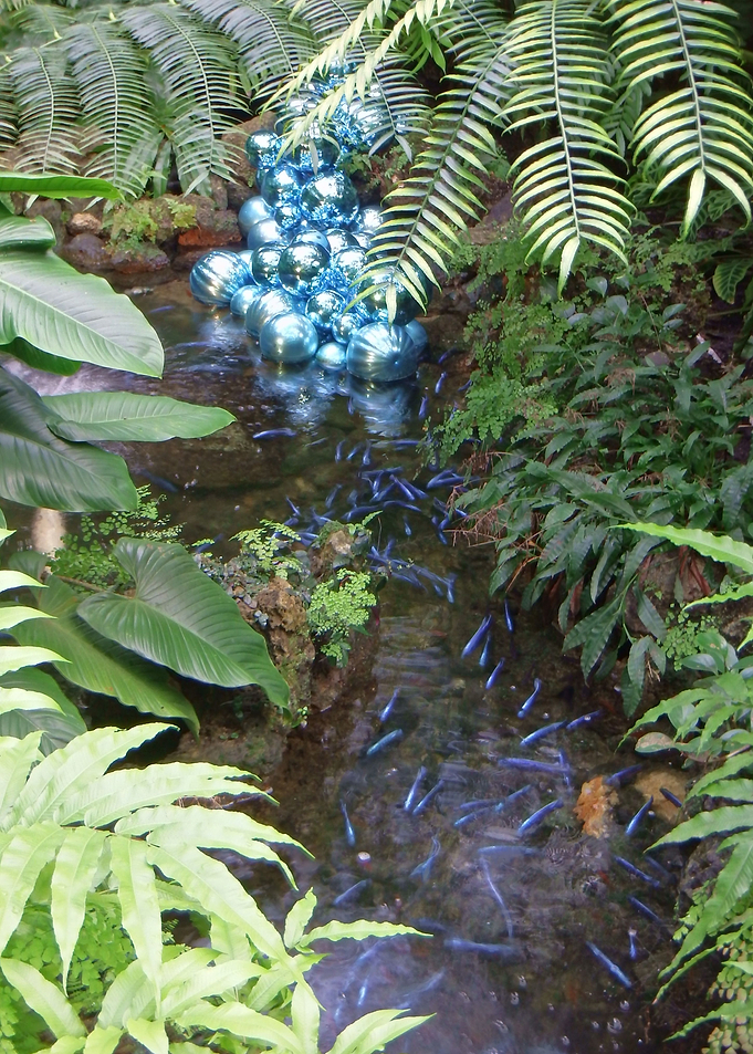 Blue Fish and Spheres