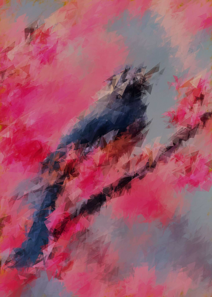 bird