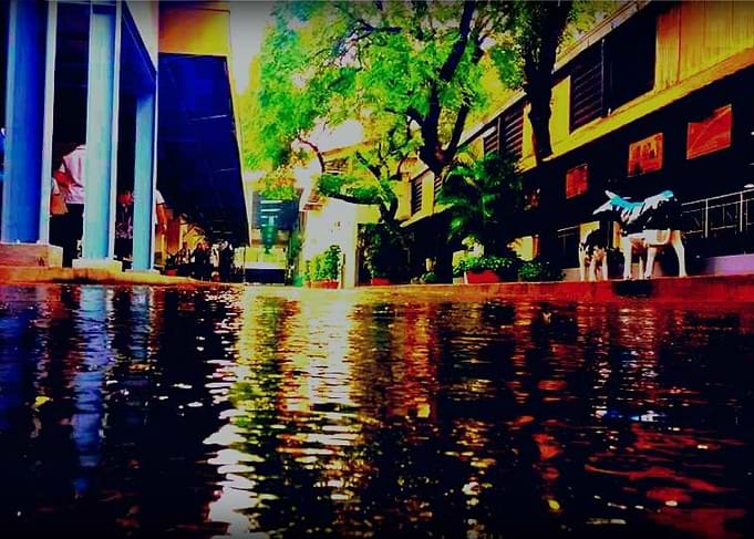 The flood