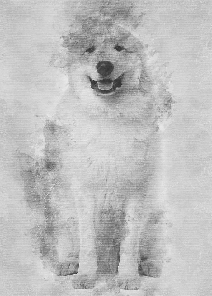 Great Pyrenees or Pyrenean