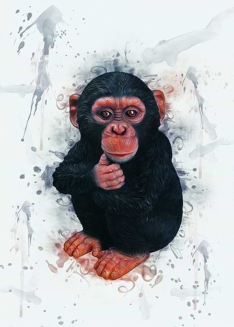 Chimpanzee Art