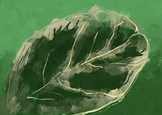leaf