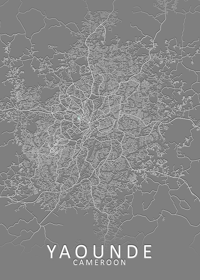 Yaounde Grey City Map