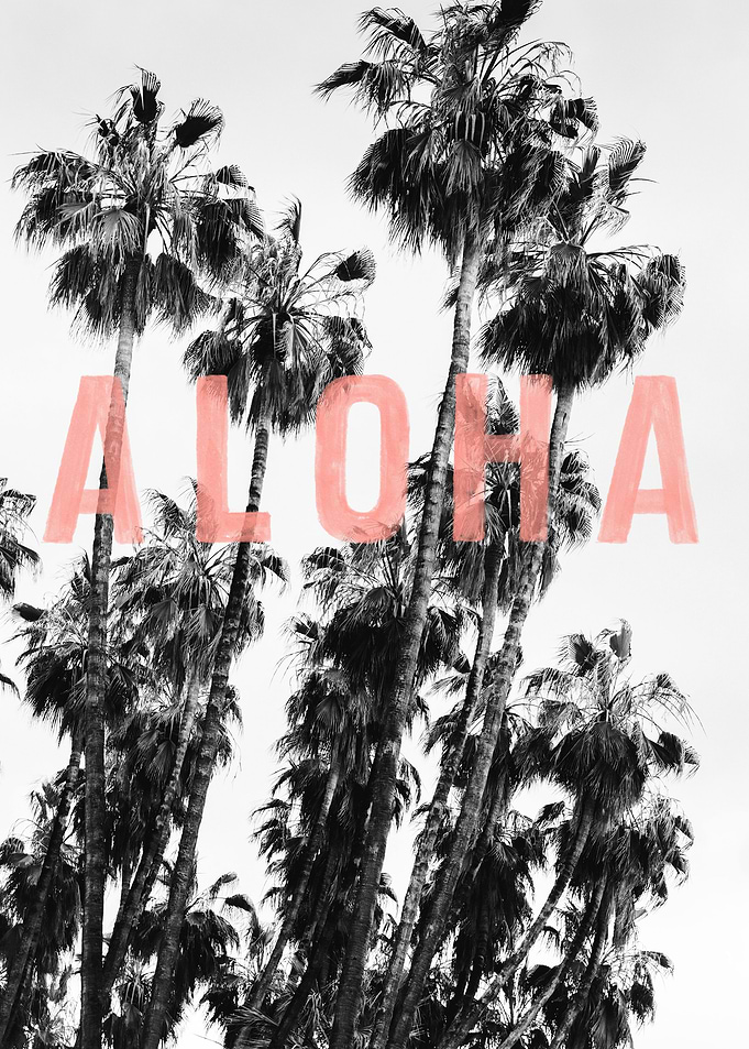 Aloha