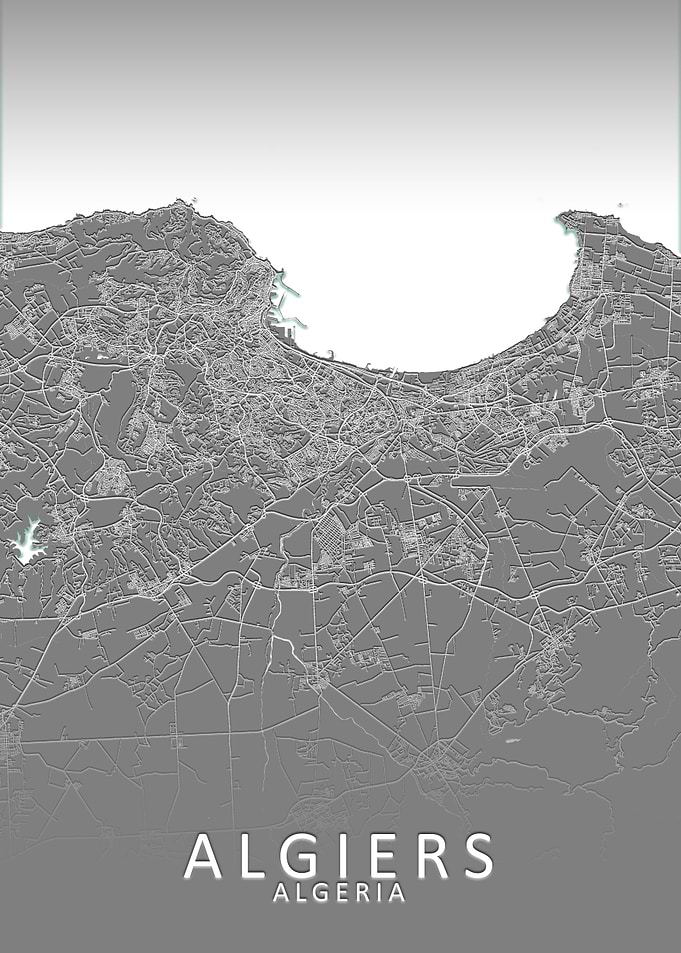 Algiers Grey City Map
