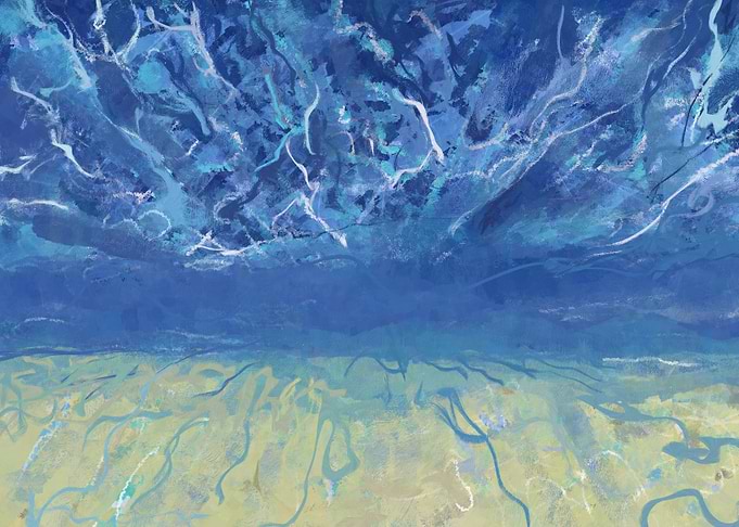 shallow sea