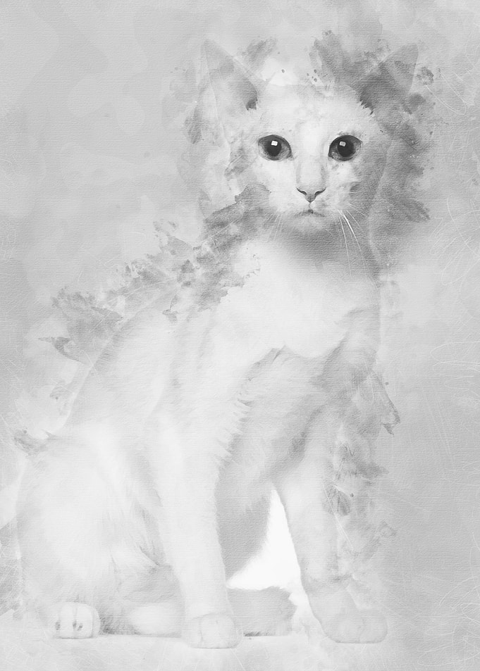 Portrait of Oriental Short