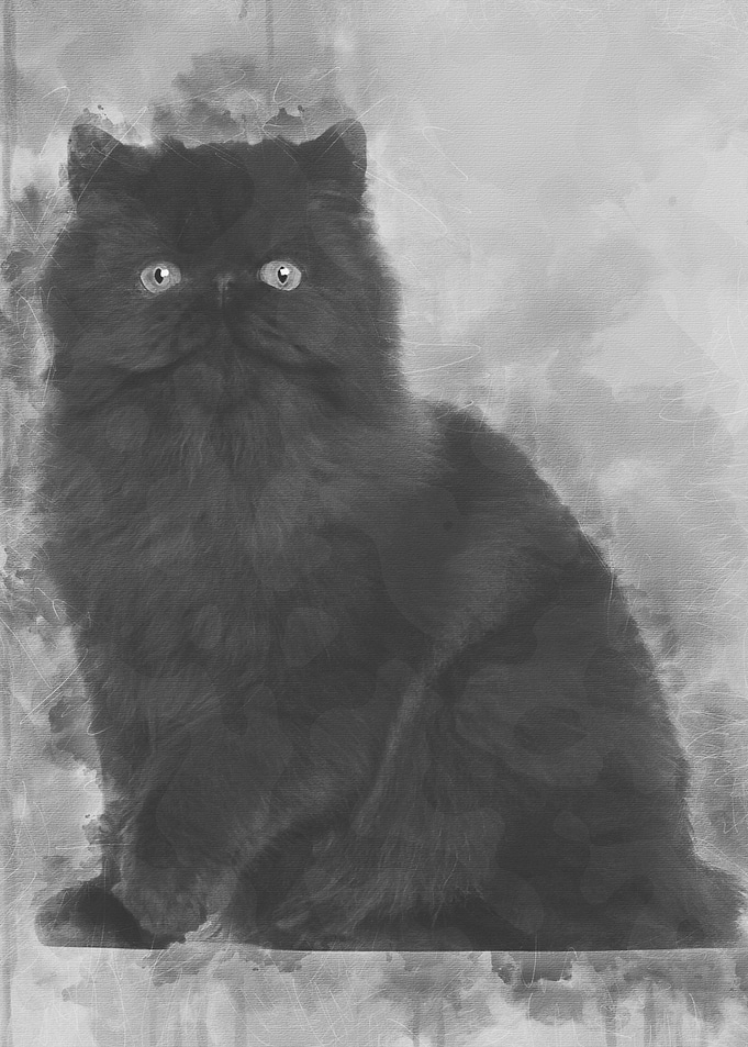 Portrait of Persian cat 7