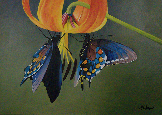 Blue Butterflies
