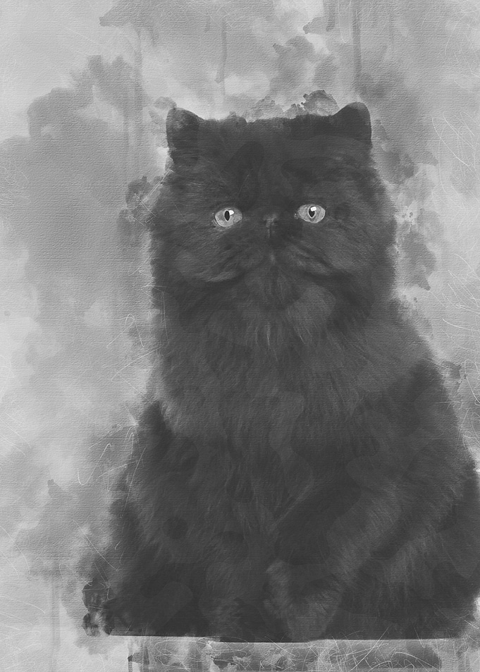 Portrait of Persian cat 7