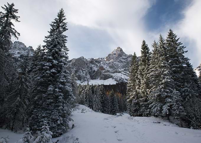 White mountains