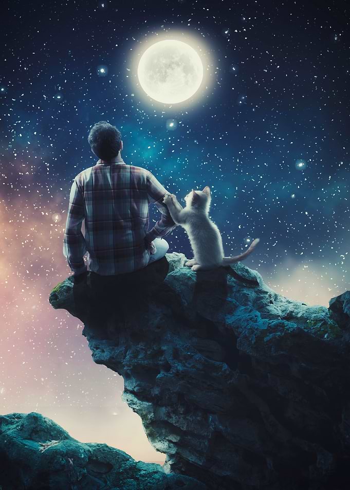 Kitty and a friend