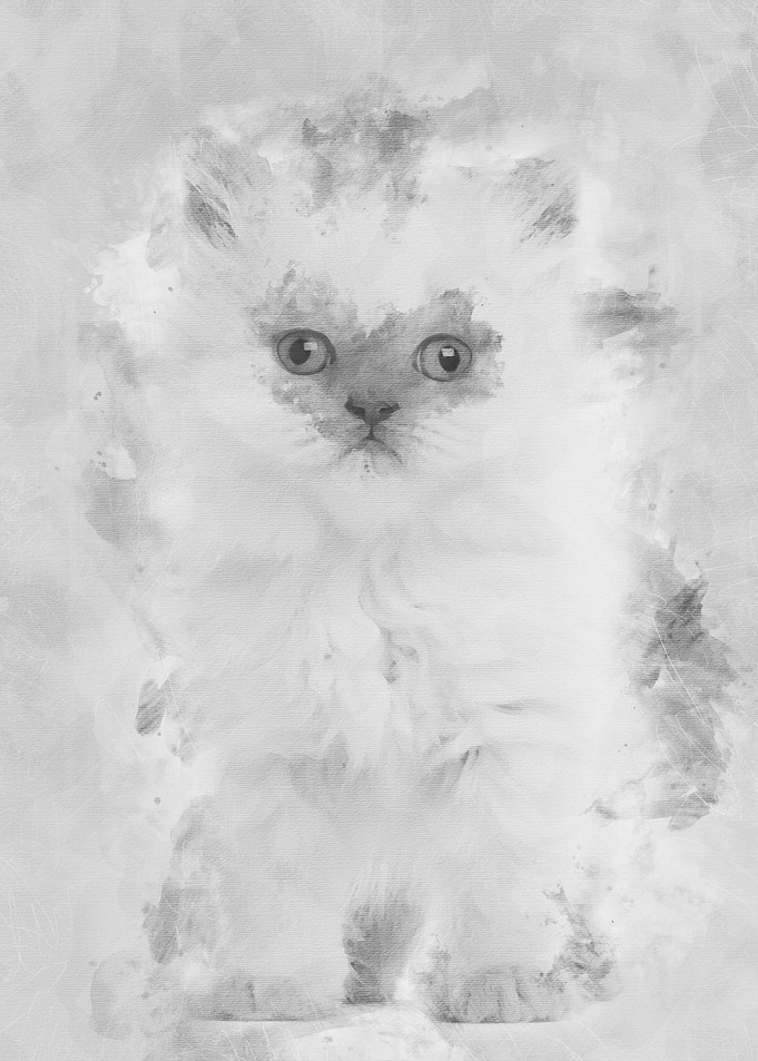 Portrait of British Longha