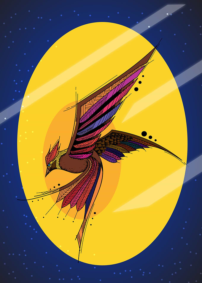 Bird under moon