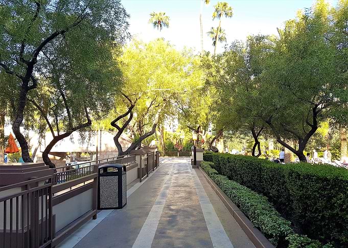 Trees in Vegas resort