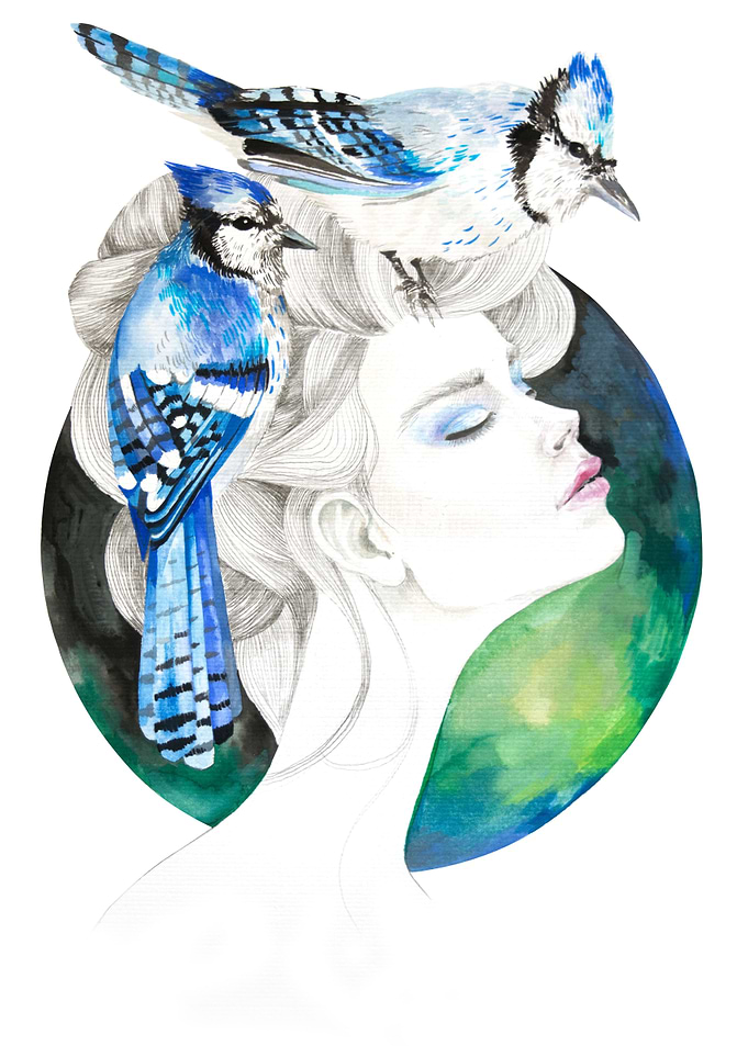 Blue Jay