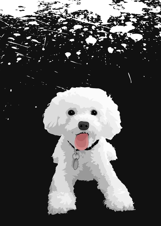 Vector Dog Shis Tzu
