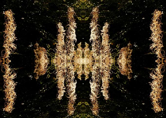 fractal light