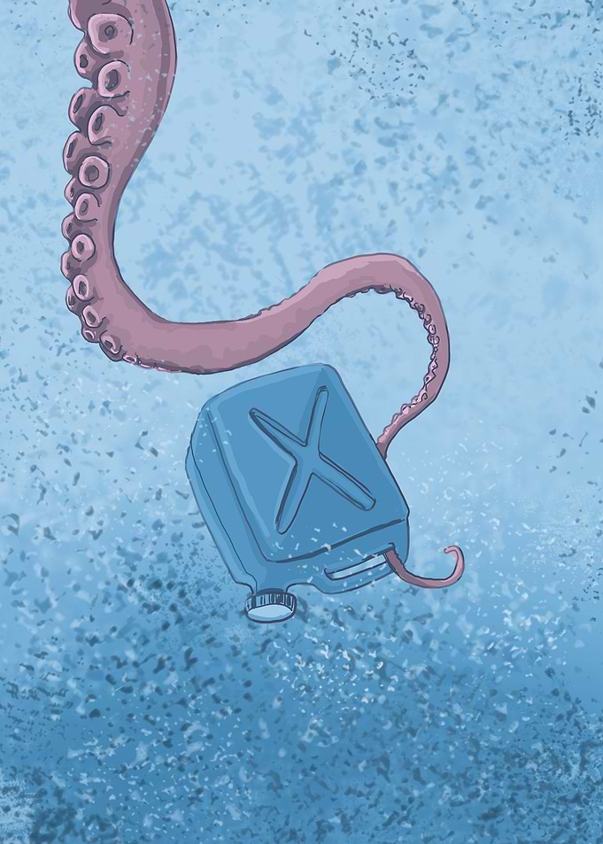 Octopus artifacts 08