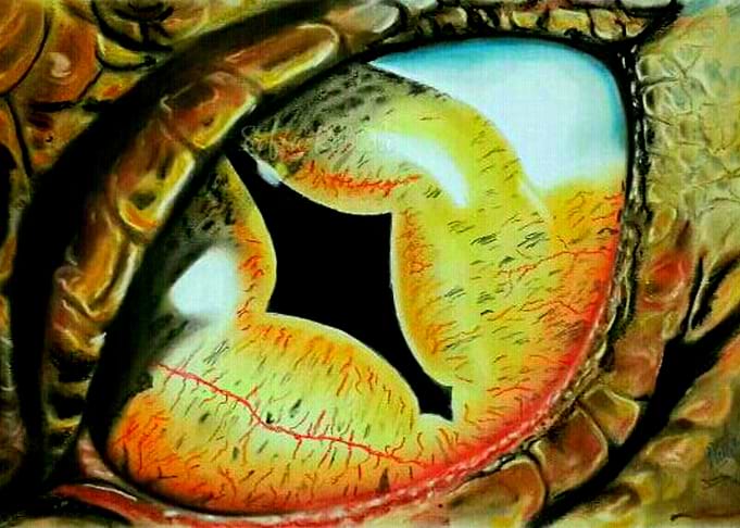 Ojo de dragon
