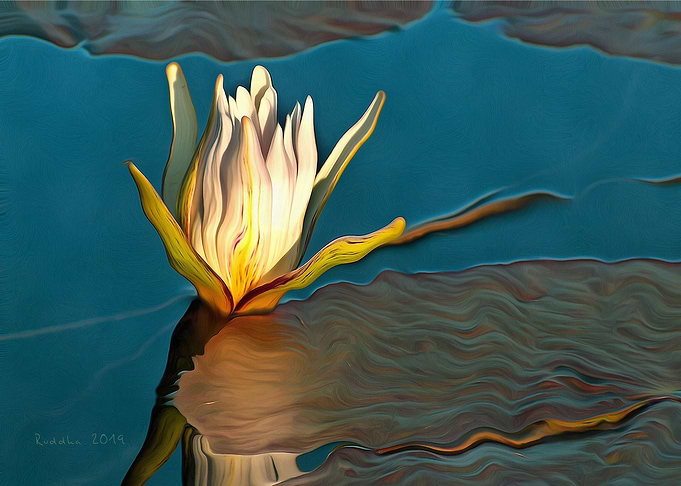 Water Lily on Blue