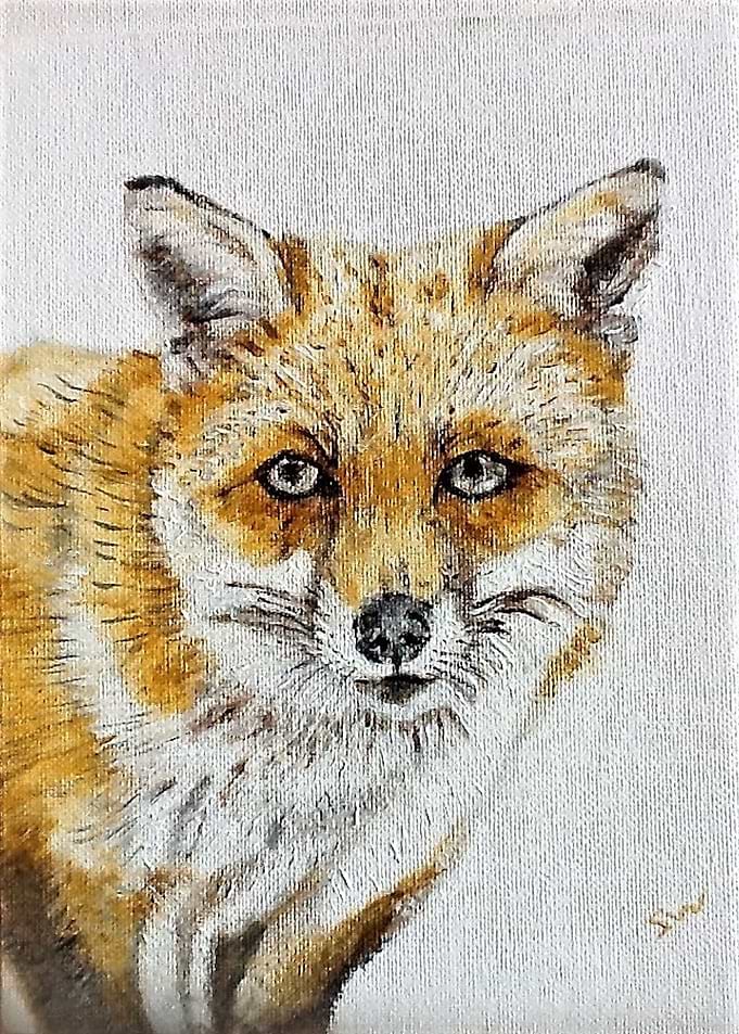 Fox