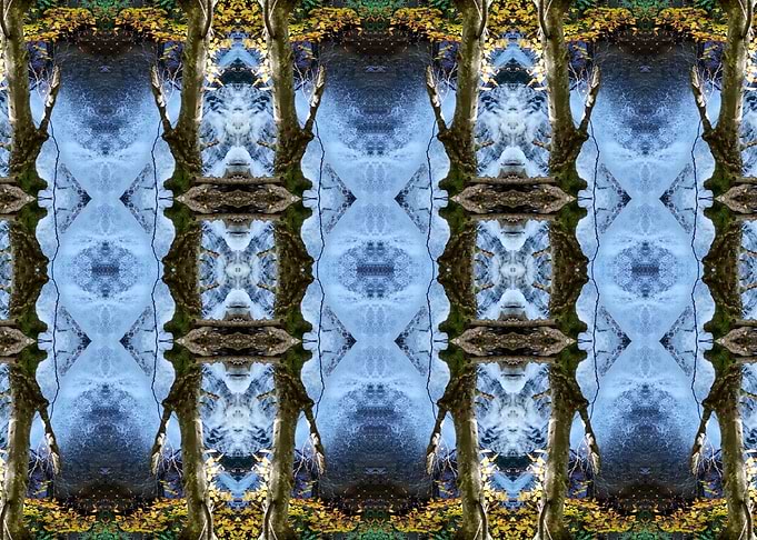 fractal time