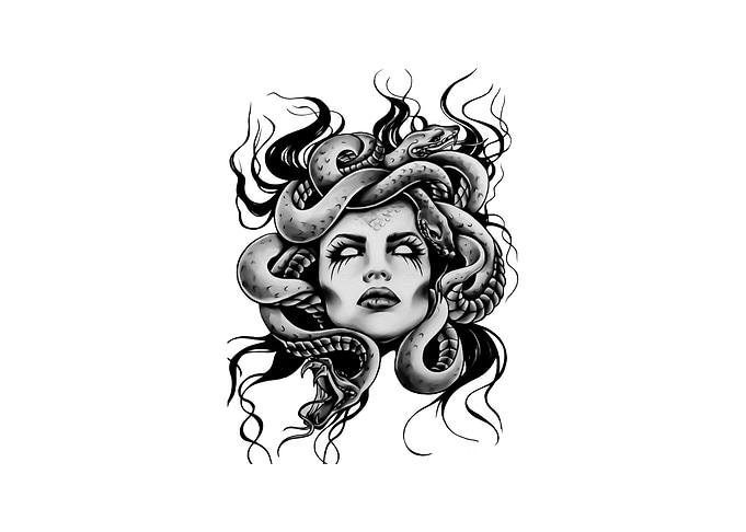Medusa Artwork
