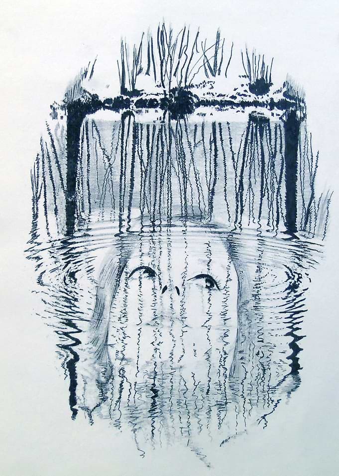 Reflection