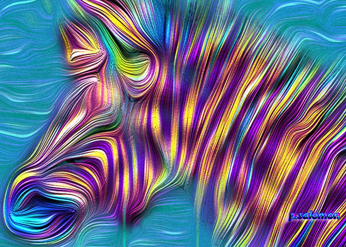 Zebra Purple