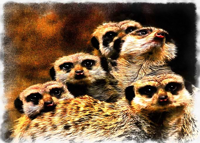One in Every Crowd
