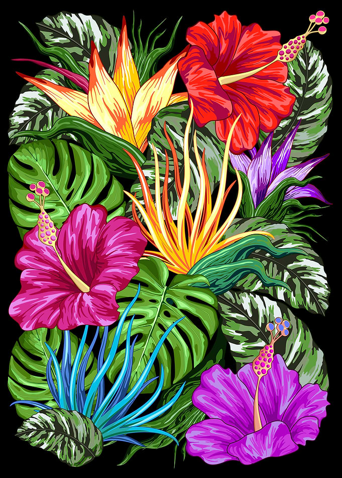 Tropical Flora Summer Mood
