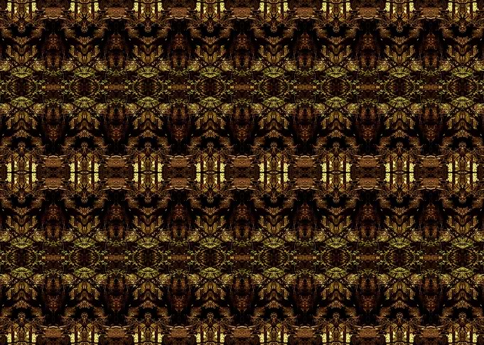 shamanic fractal