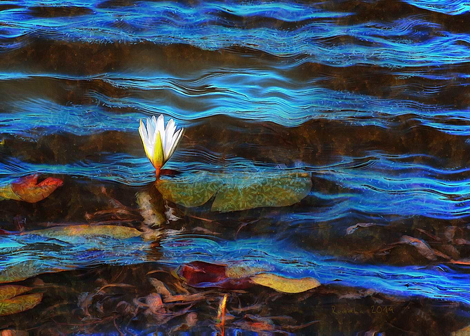 Light Blue Lily Waves