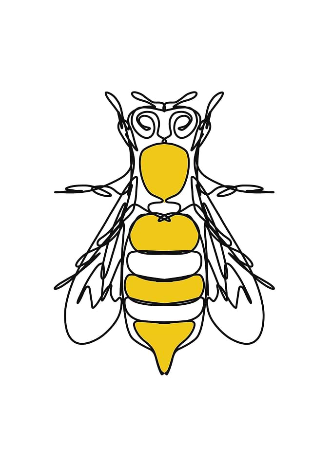 minimalist insect in linea
