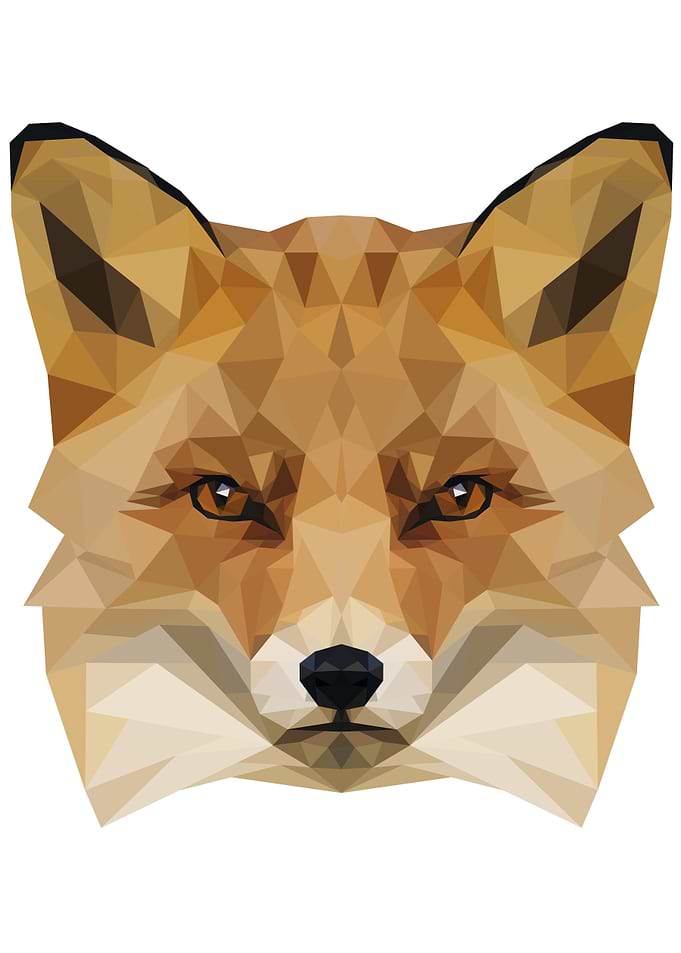 Polygon Fox