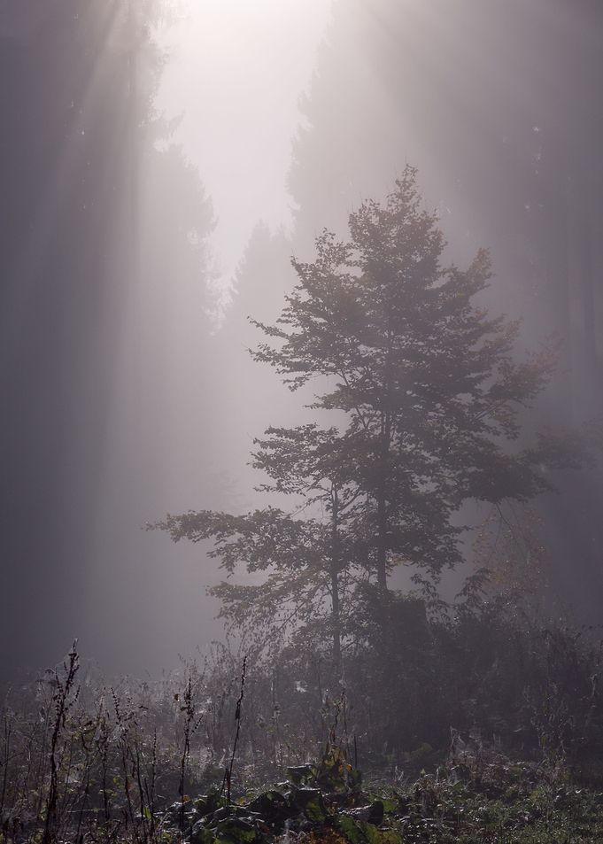 Under a spell