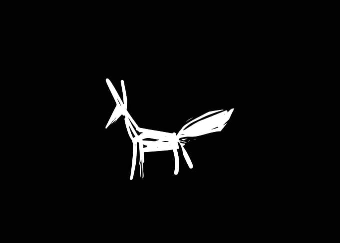 Black and White Fox