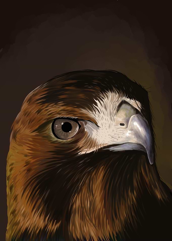 Great Eagle
