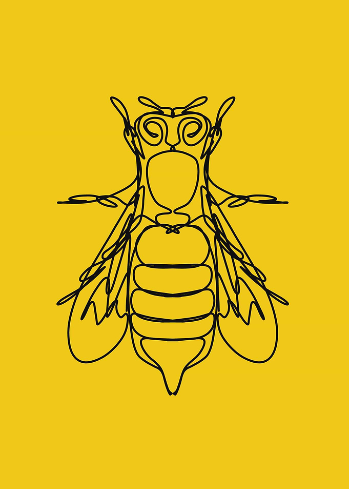 minimalist insect in linea
