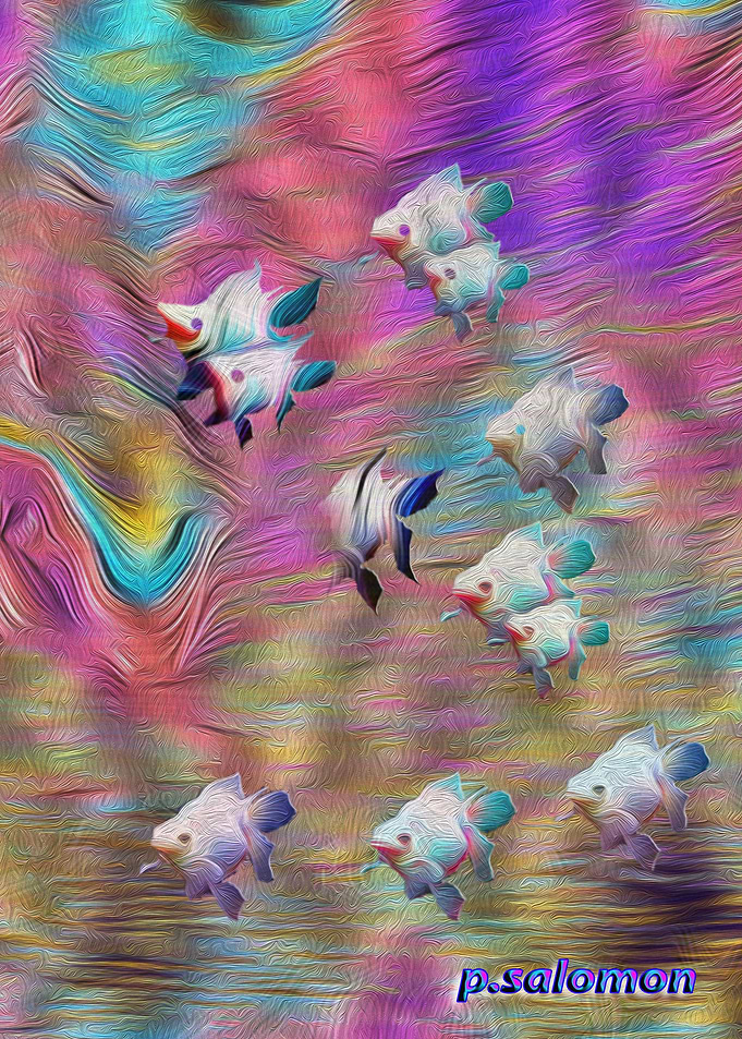 Fish Raimbow