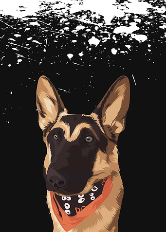 Pet Belgian Malinois Dog