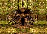 Shamanic guard
