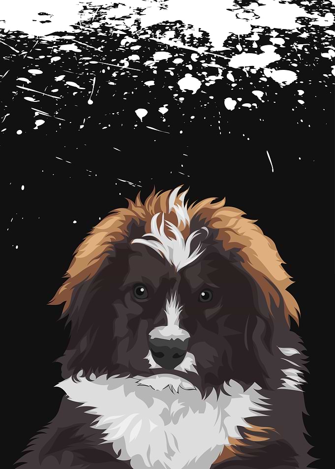 Pet Cute Dog