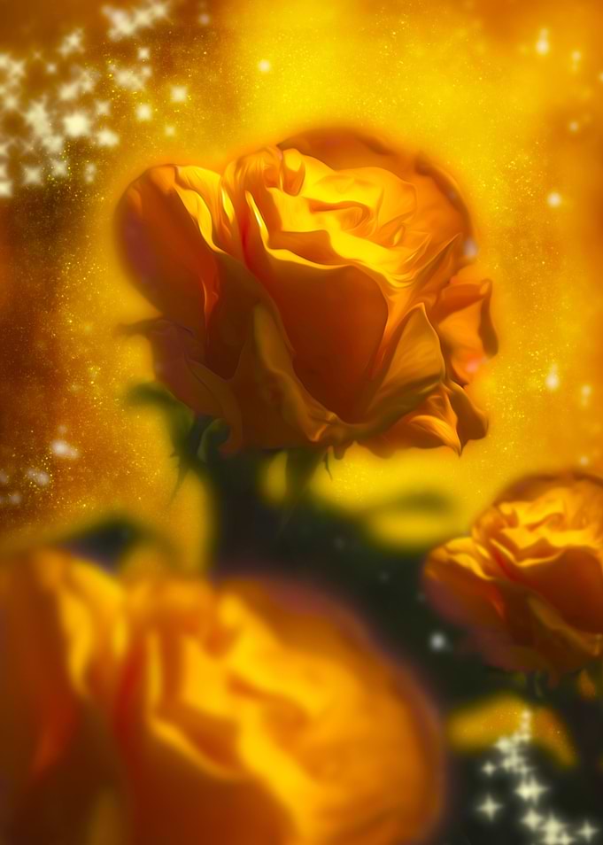 Yellow Rose