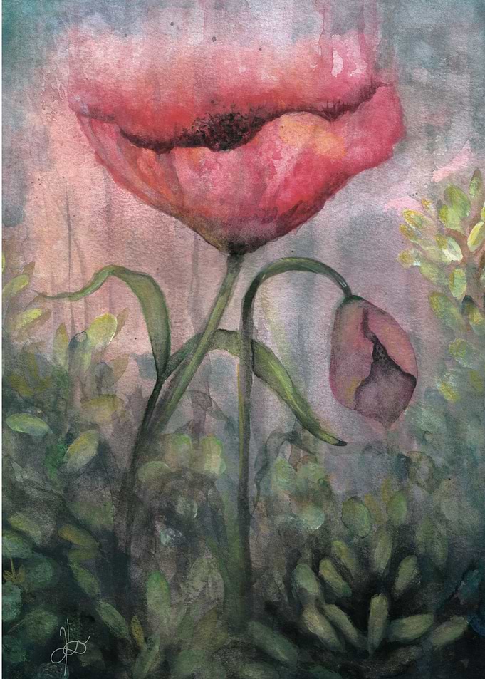 Poppy Love
